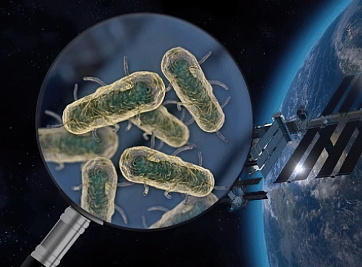 Бактерии с множественной лекарственной устойчивостью обнаружены на МКС